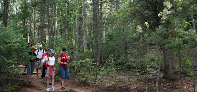 Hiking TrailsBackcountry recreational opportunities abound within the Alpine Triangle and range from isolation in the most pristine settings to hiking along popular, developed trails.